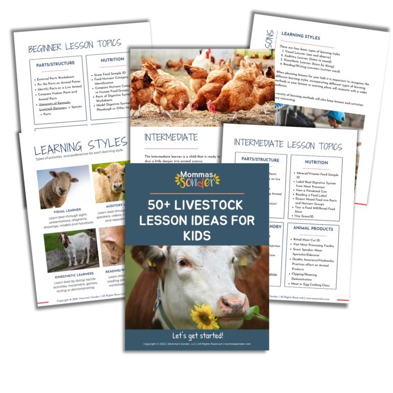 Livestock Lesson Ideas for kids