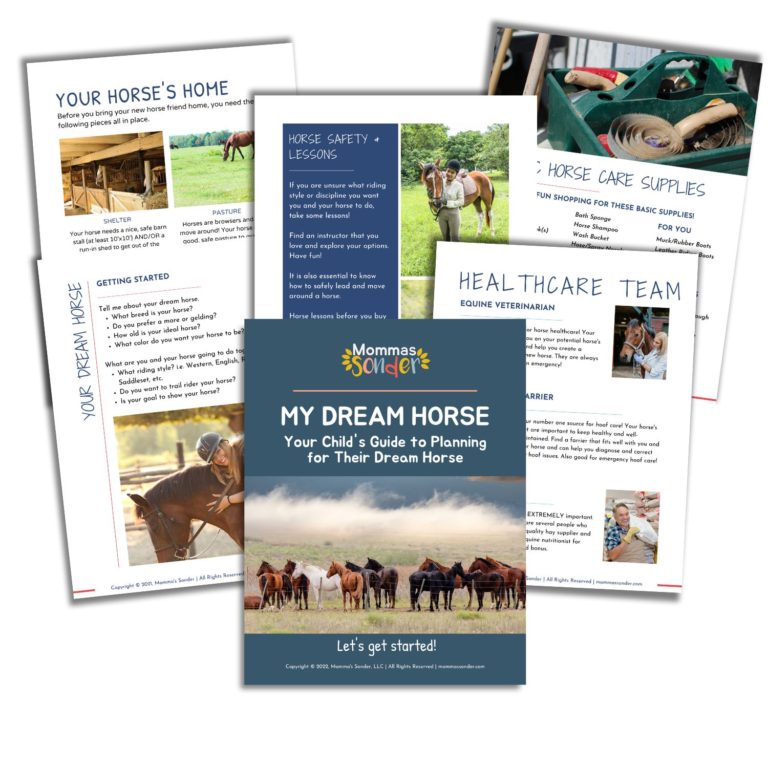 horse care guide for kids