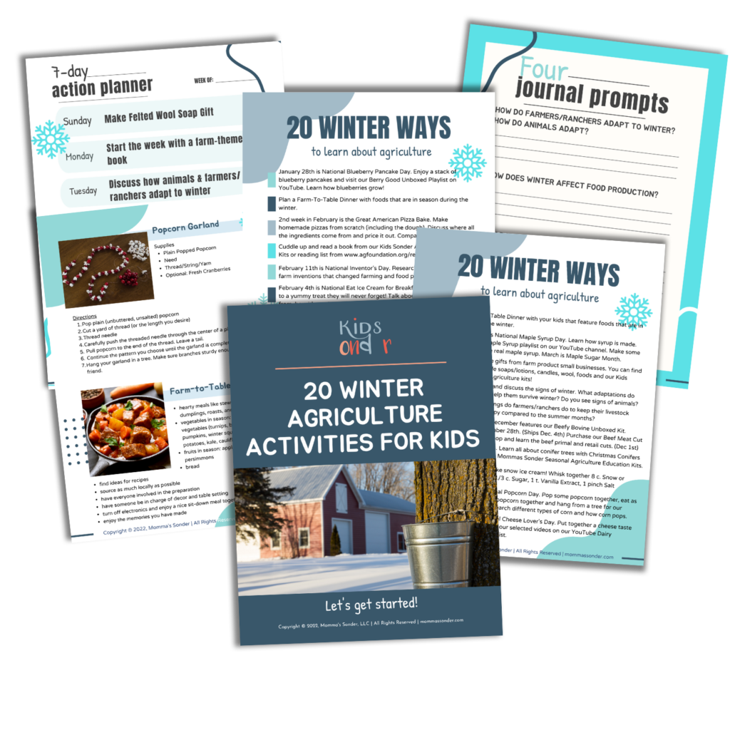 page images of 20 winter agriculture activities for kids freebie guide
