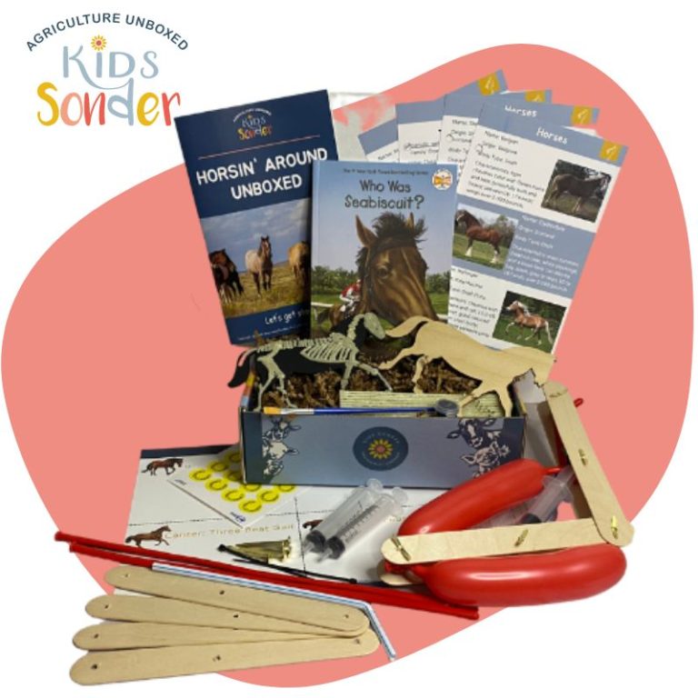 Horsin Around Unboxed Kids Horse Agriculture Education Subscription Box