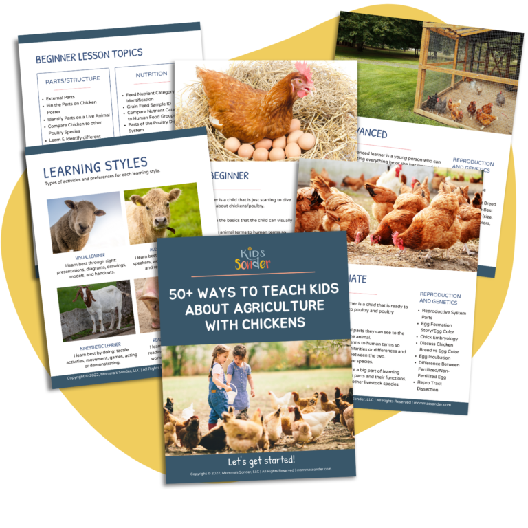 guide to teach kids about agriculture with chickens