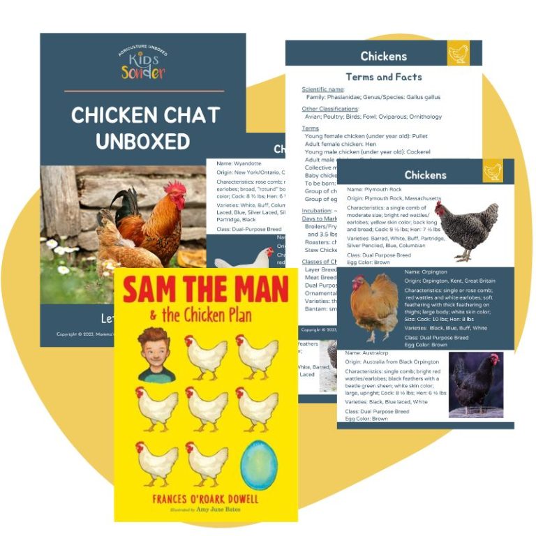 Chicken Chat unboxed educational guide breed cards sam the man and the chickn plan book