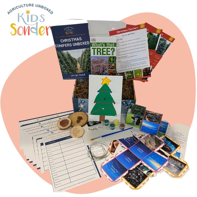 Christmas Conifers Unboxed Educational Kit