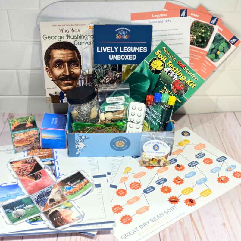 Legumes Agriculture Learning Kit
