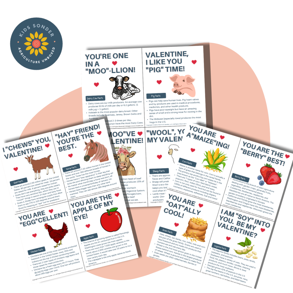 Valentine's Day Farm Fact Cards for Kids