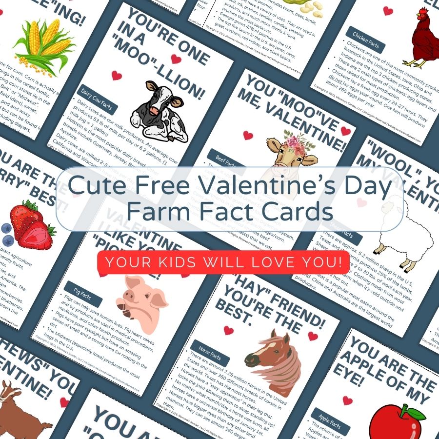 valentine's day farm fact cards for kids