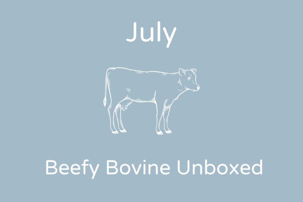 Beef Cow Learning Kit
