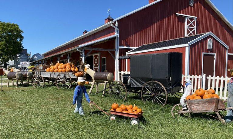 Ramseyer Farms Pumpkins Wayne County Ohio
